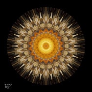 18 Circles, un'immagine in sfumature di oro/marrone per una stampa fine art, creata usando mappe di Möbius del disco unitario.