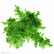 Immagine matematica. DGIFS7d, un frattale in sfumature di verde per una stampa fine art, creato con un grafo diretto IFS.