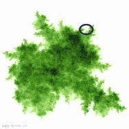 Fractal image. DGIFS7d, an IFS fractal (with ellipse detail) in shades of green, made with a 2-vertex directed graph IFS.